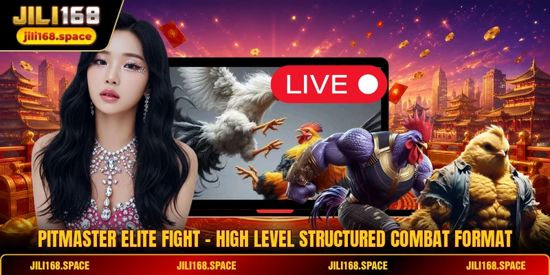 Pitmaster Elite Fight - High Level Structured Combat Format